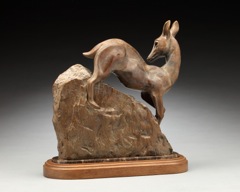 Fawn view III
